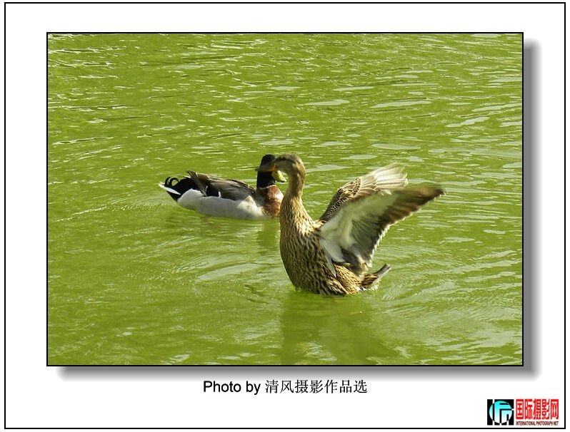 DSCN8776_���� (2).jpg