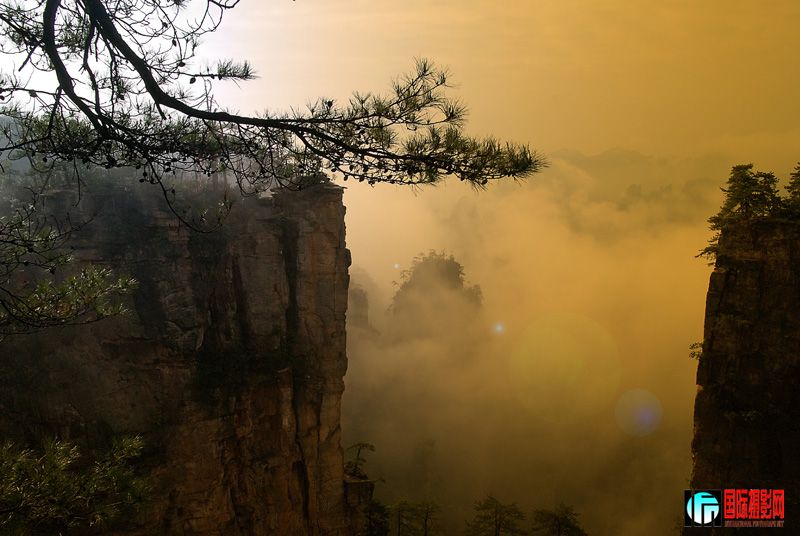 żҽ糿.jpg