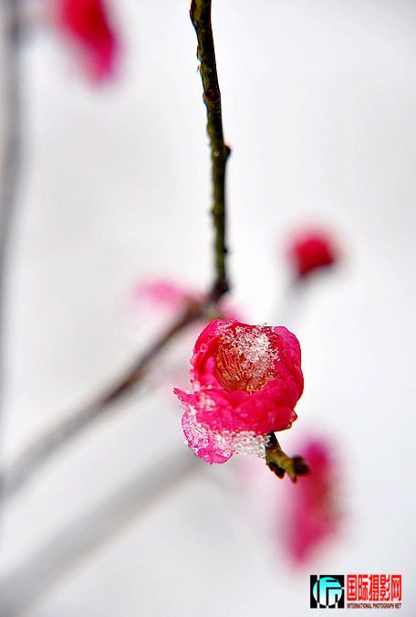 DSC_0039.JPG