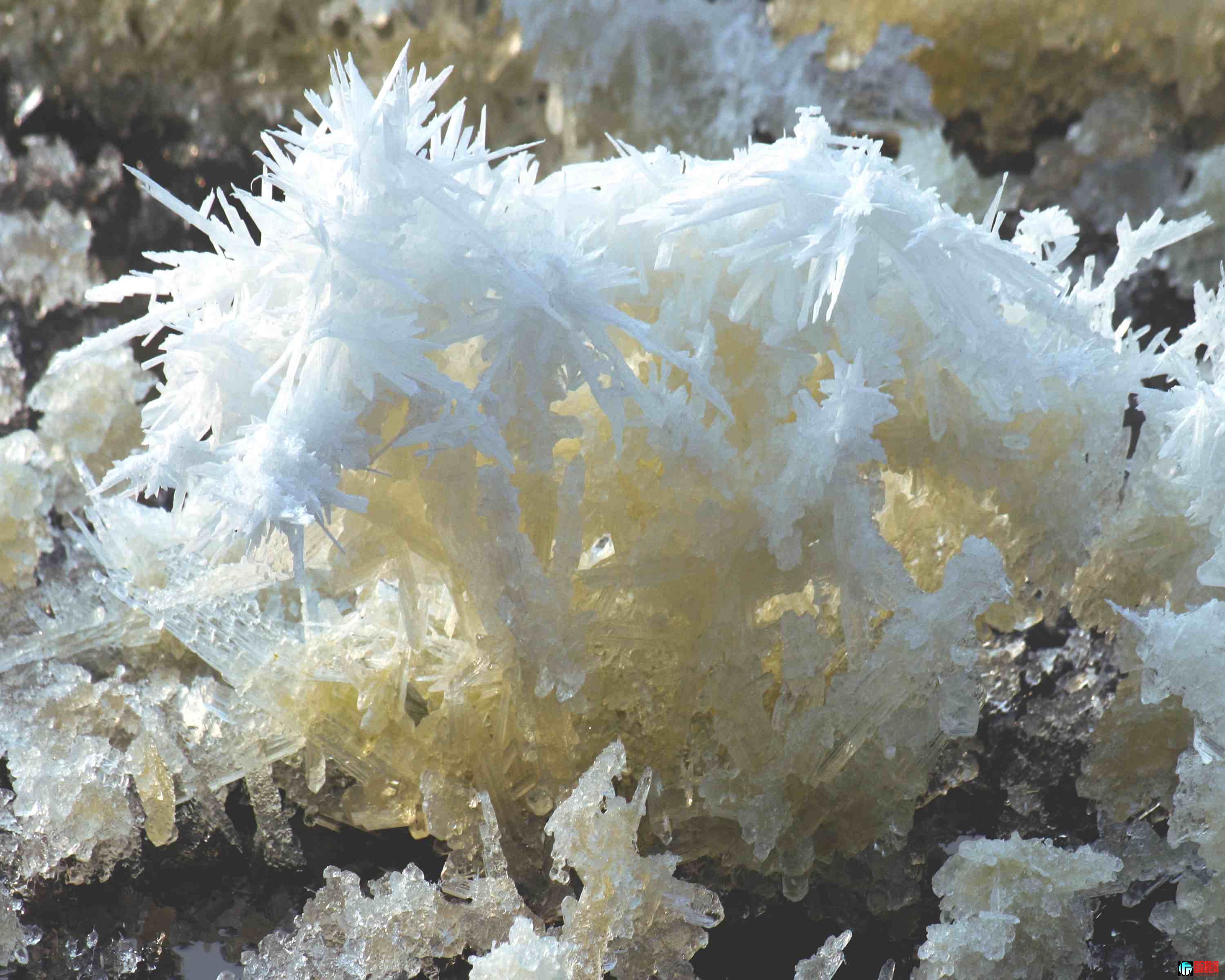 ɽ���˳��κ�����