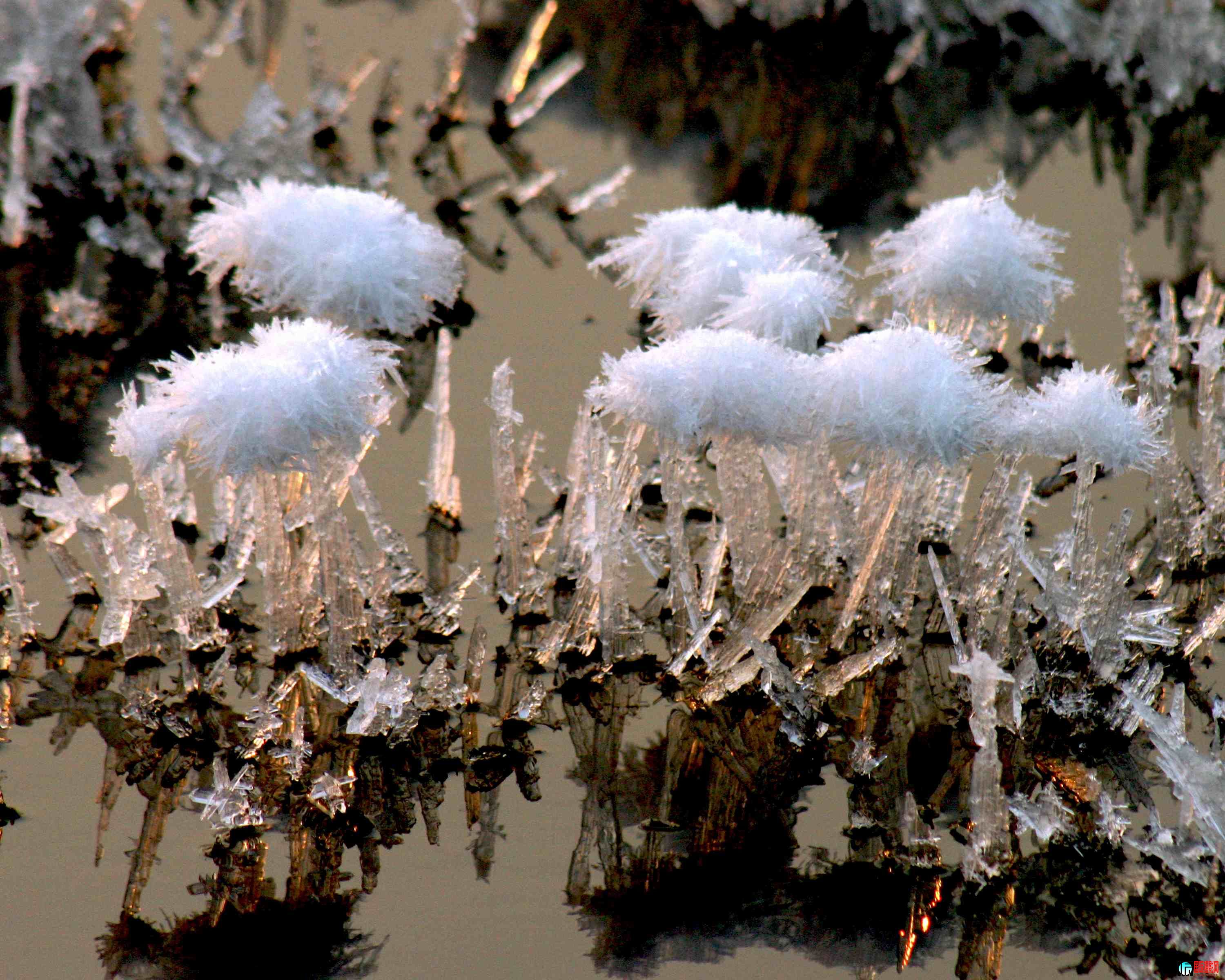 ɽ���˳��κ�����