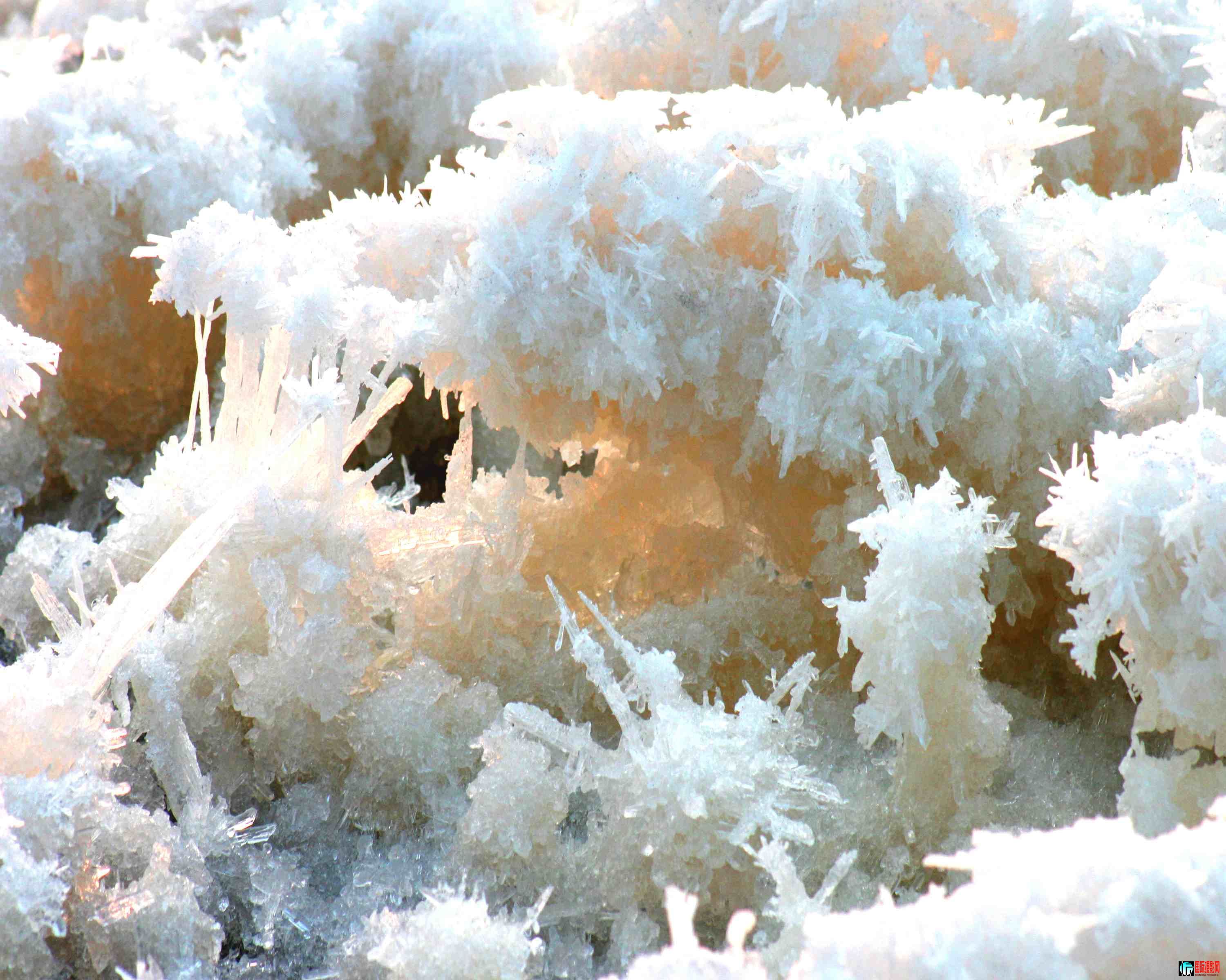 ɽ���˳��κ�����