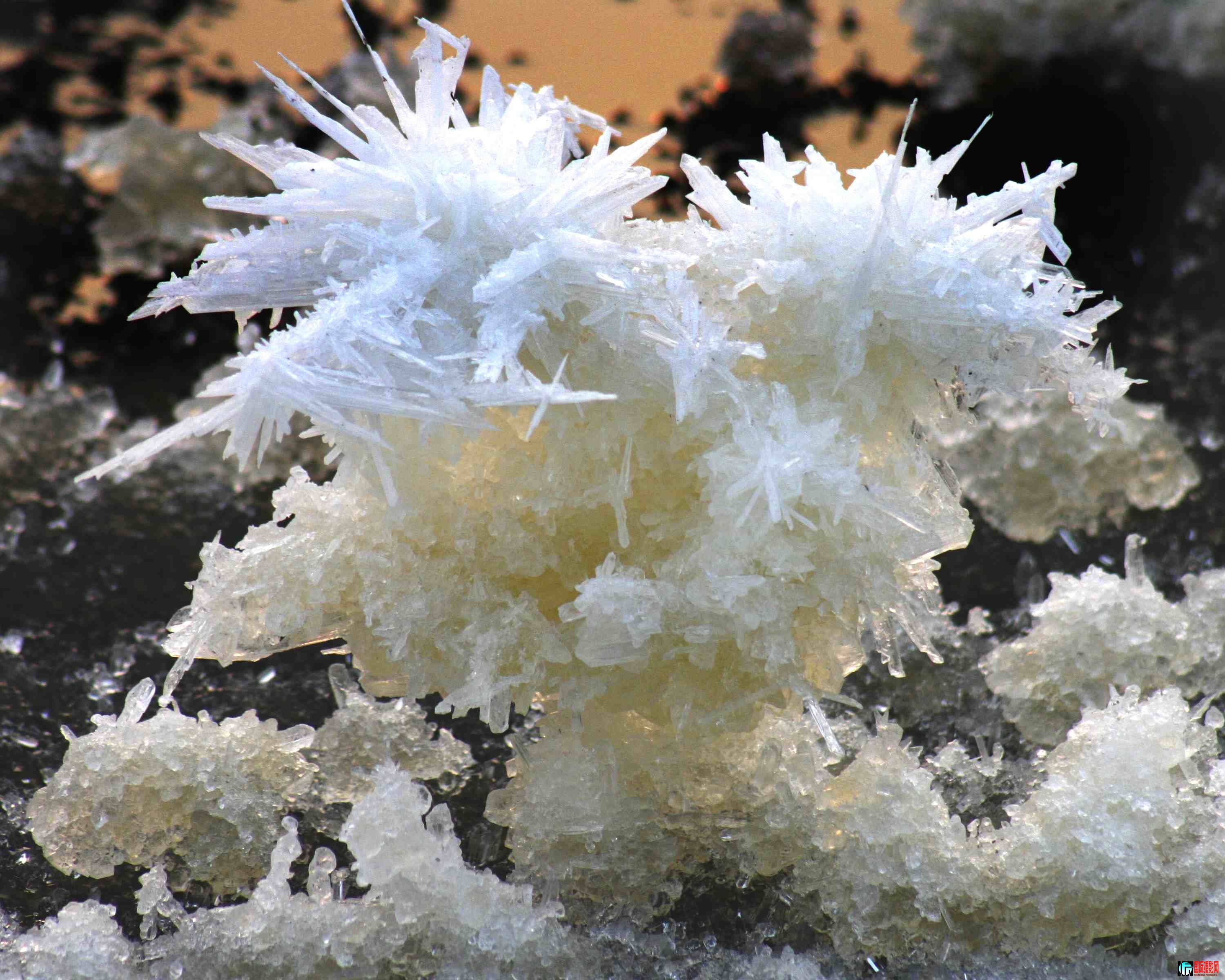 ɽ���˳��κ�����