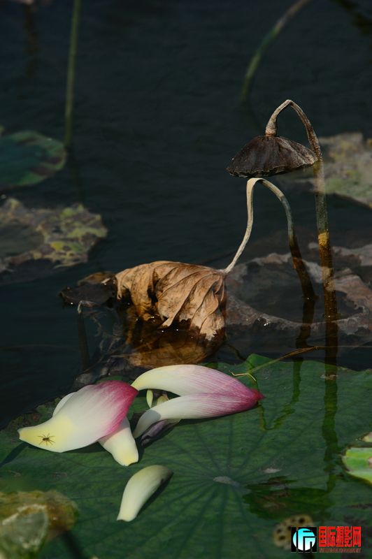 DSC_3300.JPG