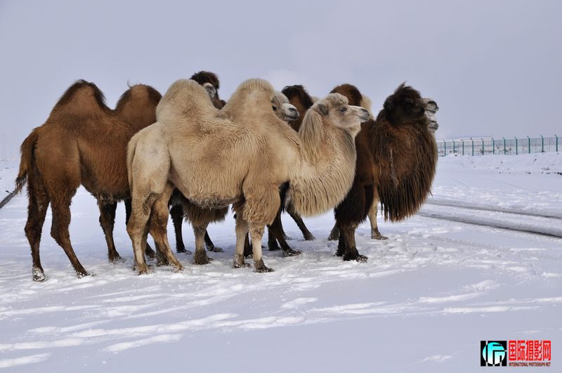 ���� _DSC0118.JPG