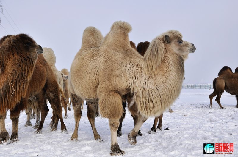 ���� _DSC0115.JPG