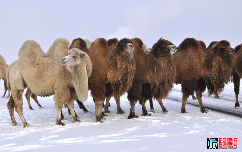 ���� _DSC0133.JPG