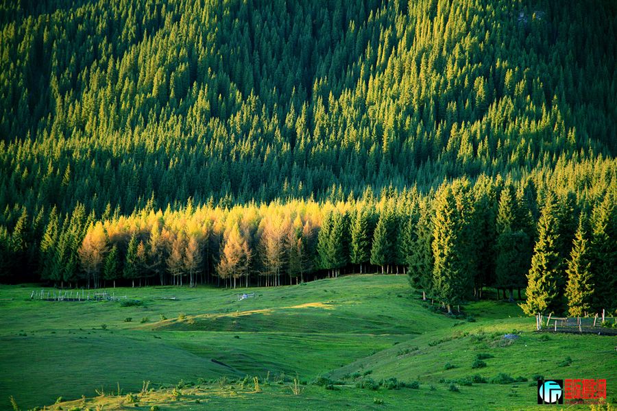 ͯ������