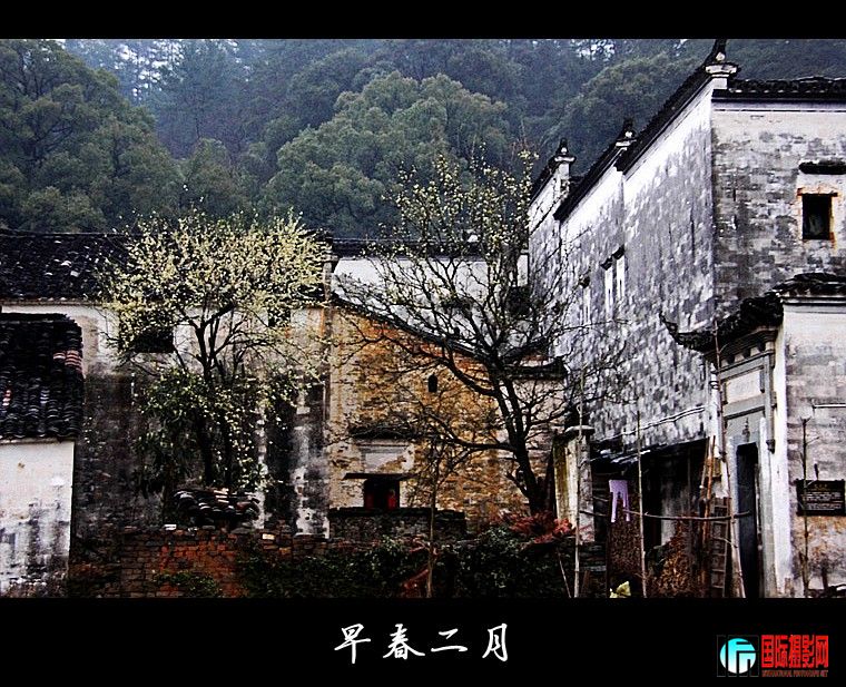 ���½�����Ƭ 021_conew2.jpg