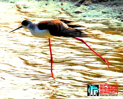 �κ������� (11).JPG