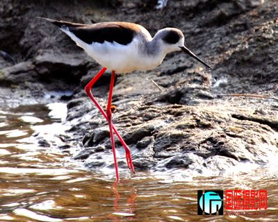 �κ������� (15).JPG