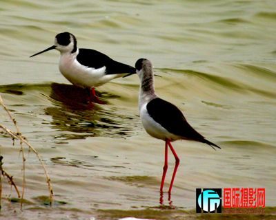 �κ������� (30).JPG