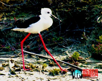 �κ������� (19).JPG