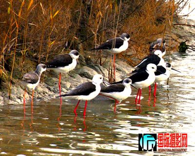 �κ������� (44).JPG