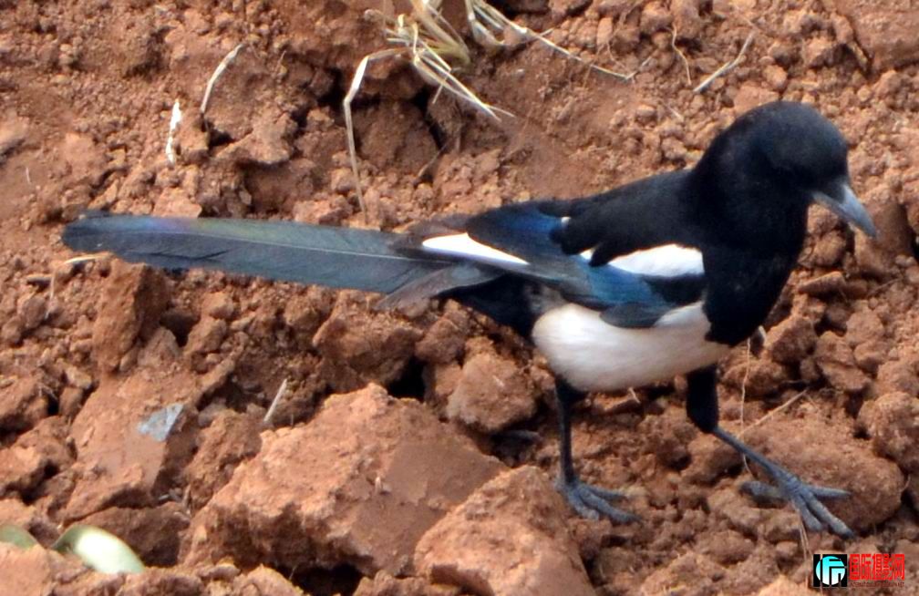 DSC_0216.jpg