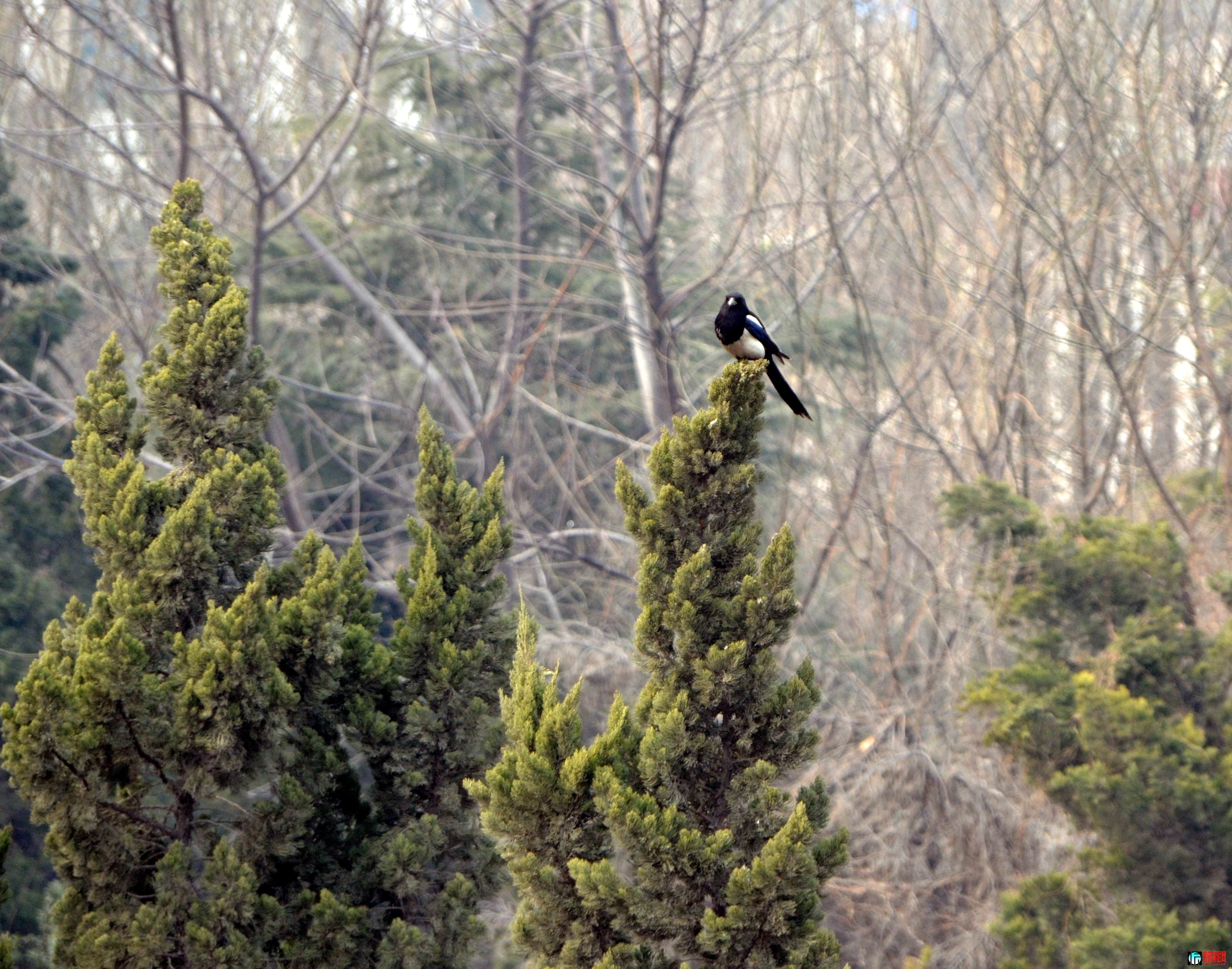 DSC_0202.jpg