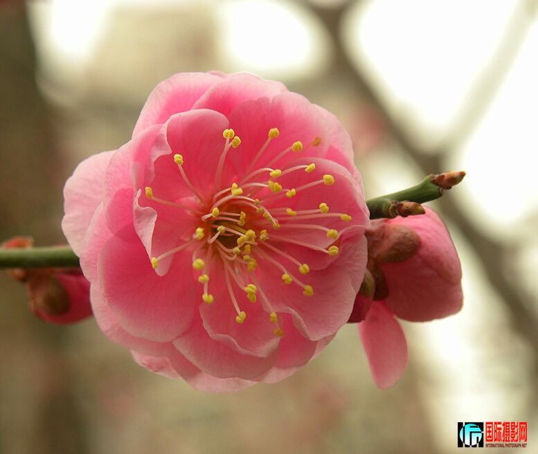 DSCN5729.jpg