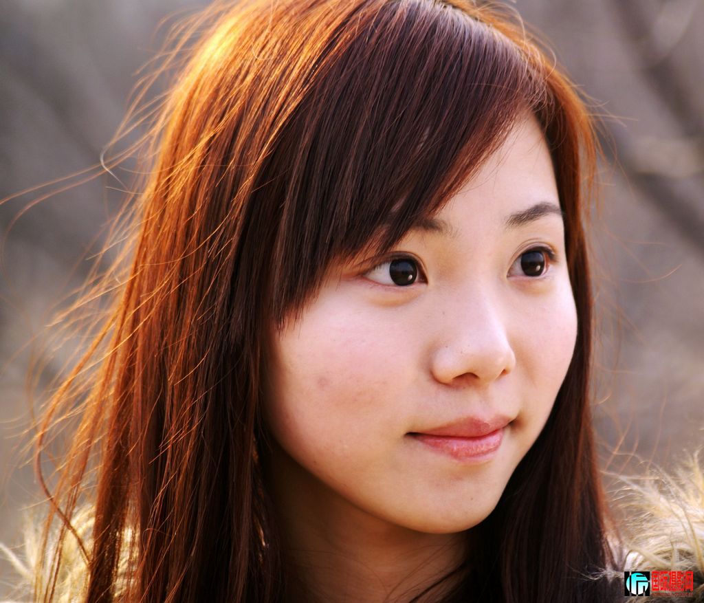 ���� DSC03073.JPG