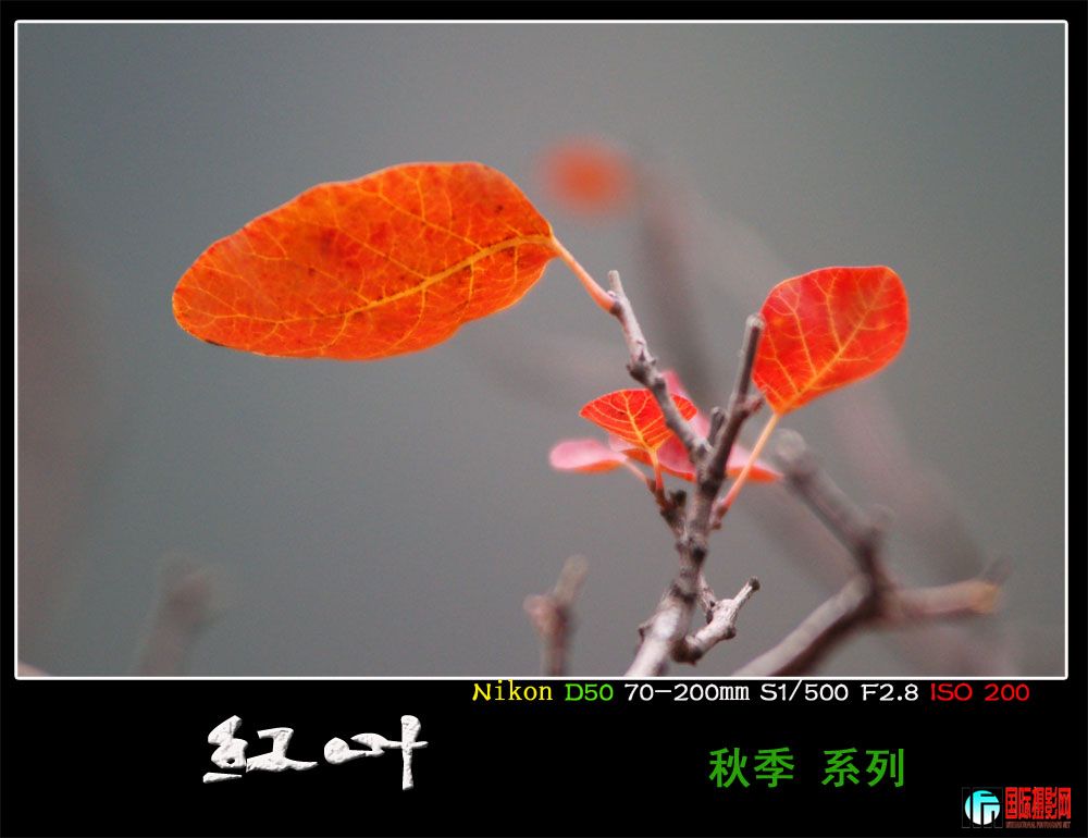 DSC_9028.JPG