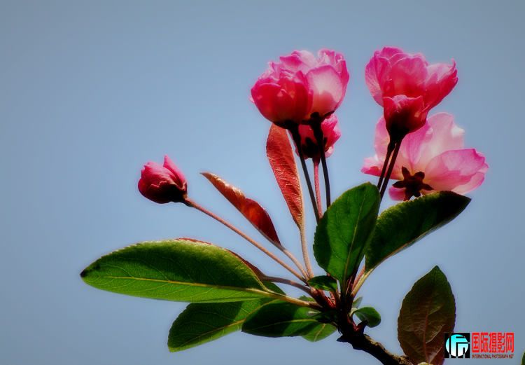 DSC_0857mx.jpg