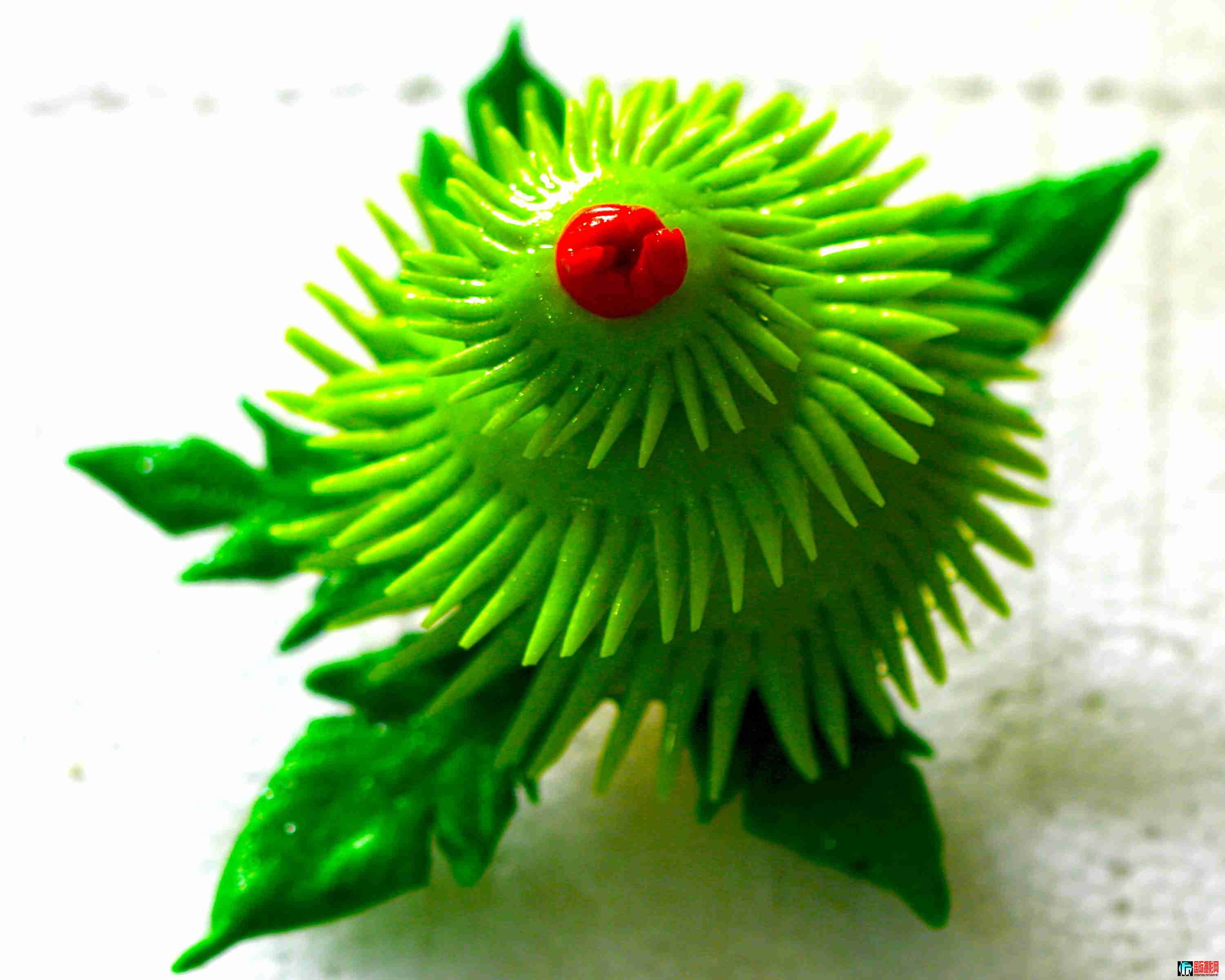 ���ֻ��� (23).JPG