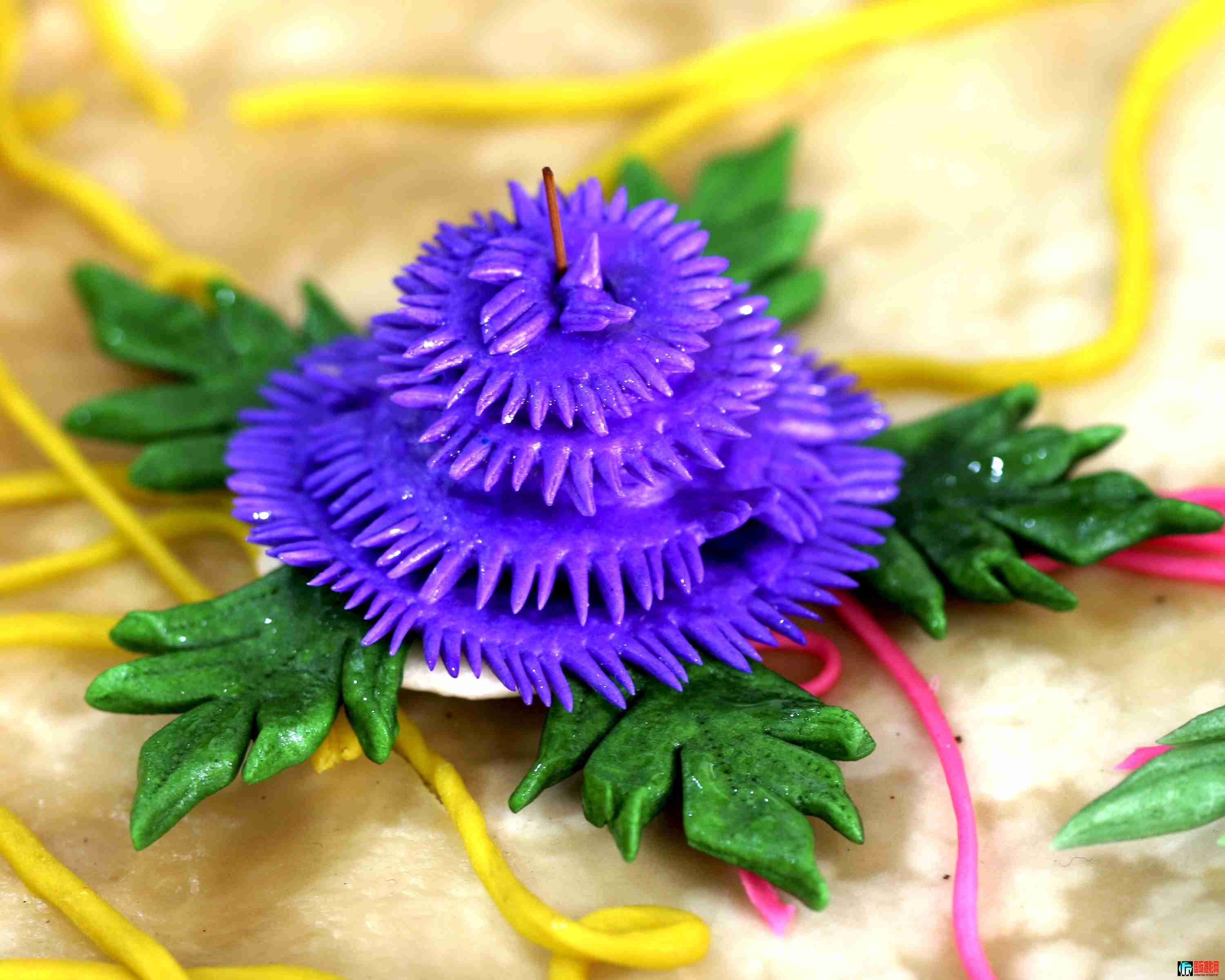 ���ֻ��� (24).JPG