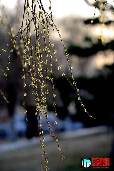 �ӱߣ��Ǵ��̵�����ʹ���Ŀ�������