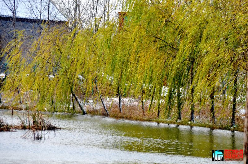 DSC_0133.jpg