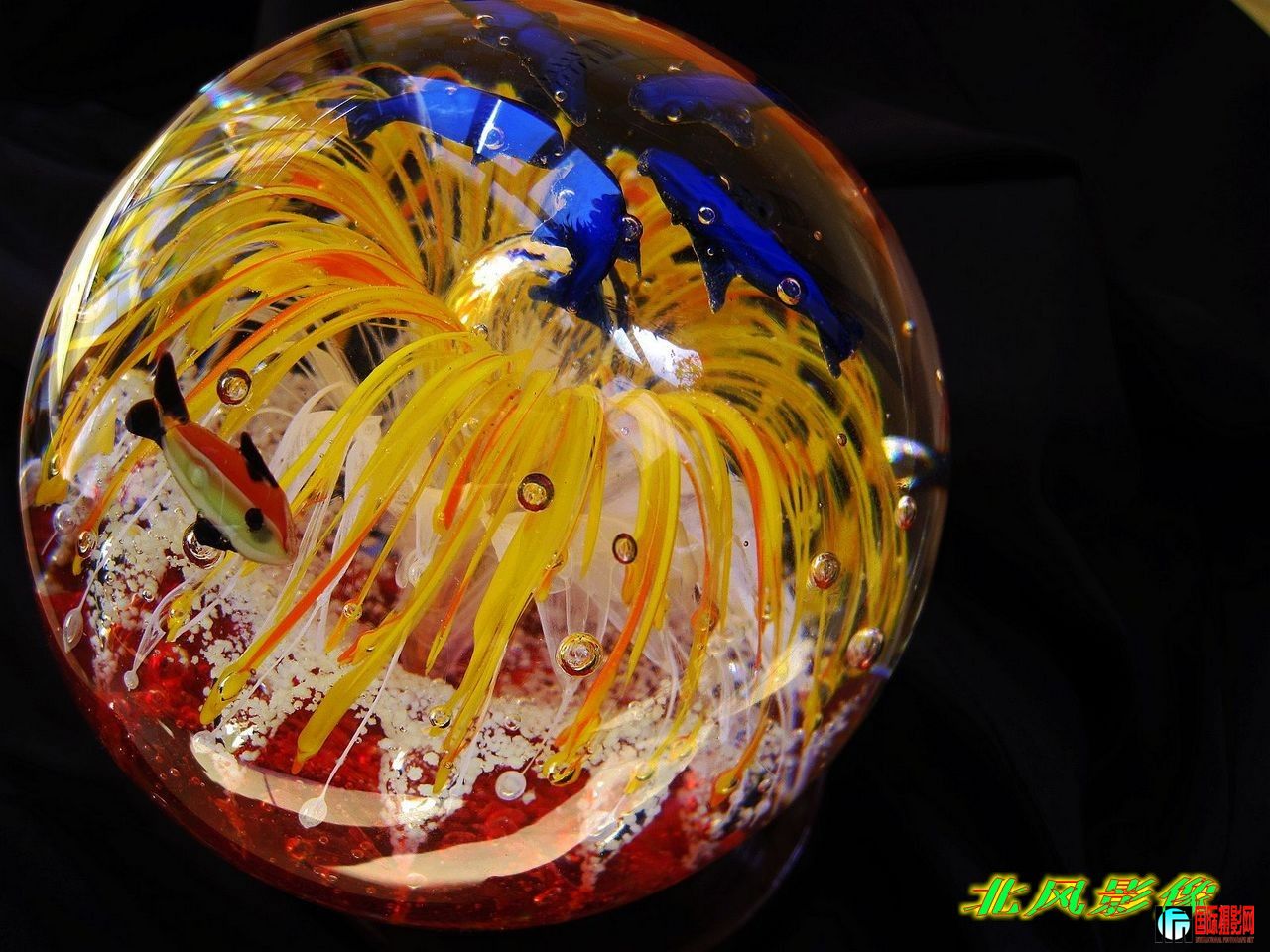 IMG_1034_conew1.jpg