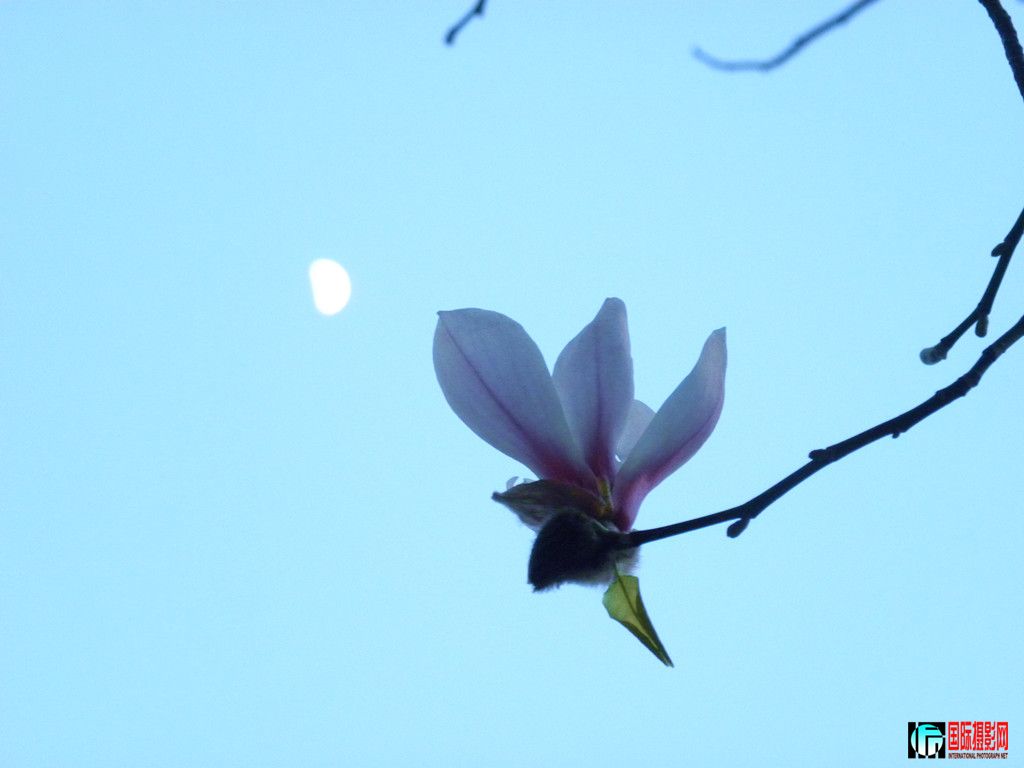 DSCN9156_.jpg