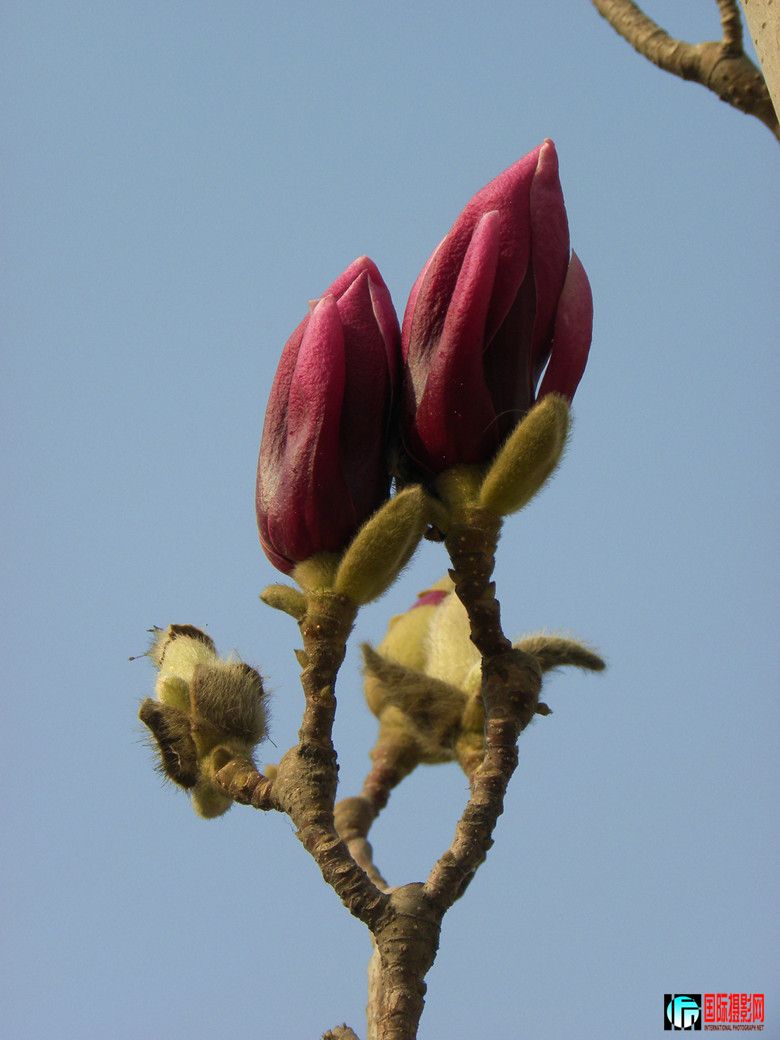 DSCN9205_.jpg