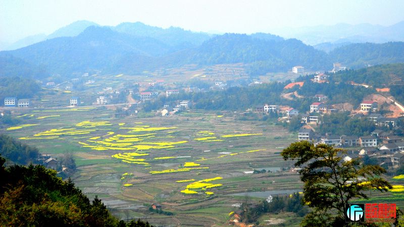 DSC_3020.JPG
