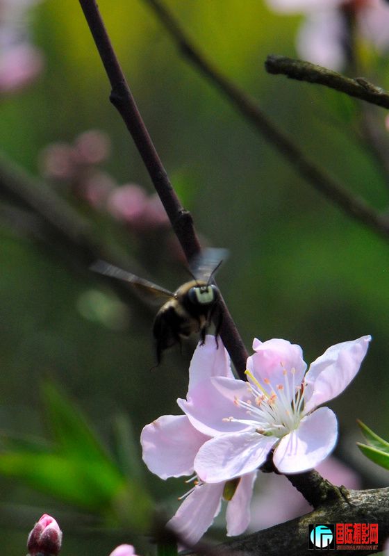 DSC_2966.JPG