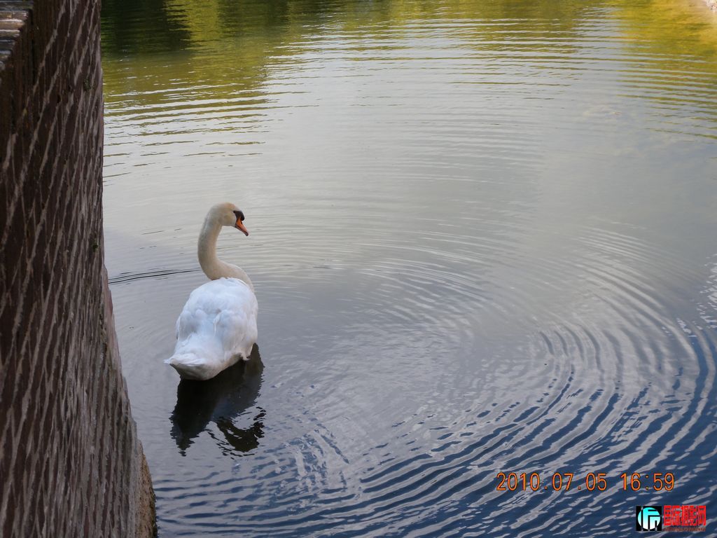 DSCN6581.jpg