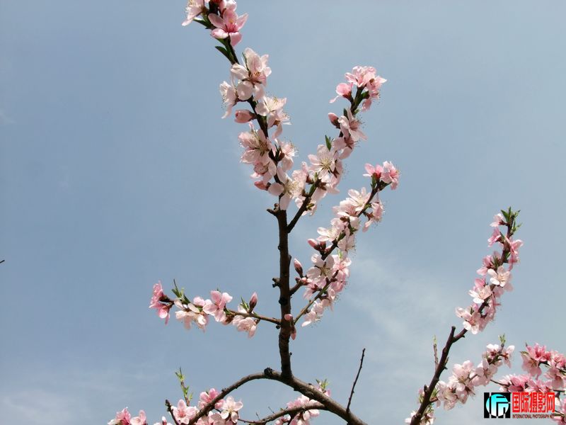 DSCF3318.jpg