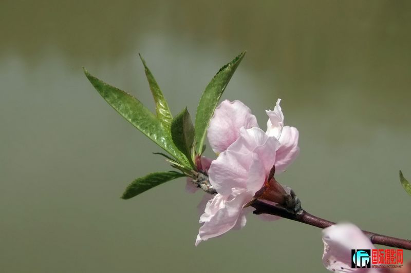 DSCF3259.jpg