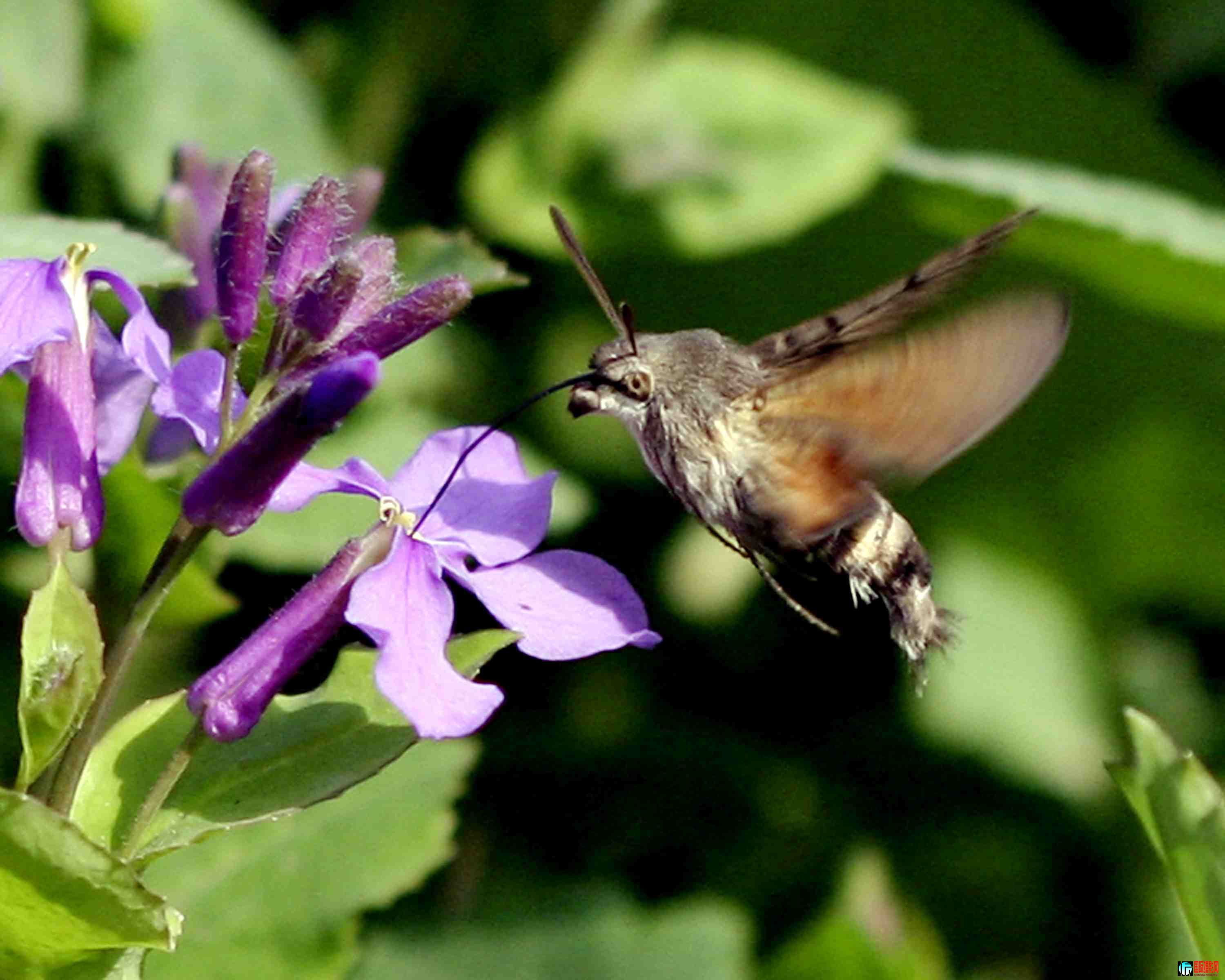 С�������� (6).JPG