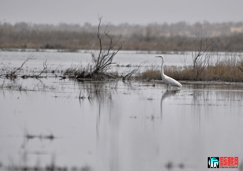 ���� _DSC0169.JPG