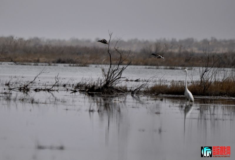 ���� _DSC0163.JPG