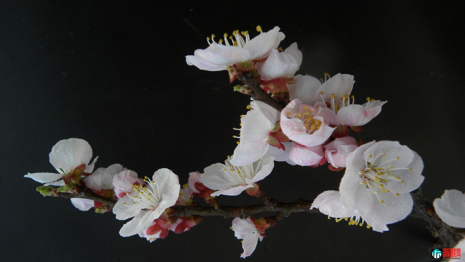 DSCN9257_.jpg
