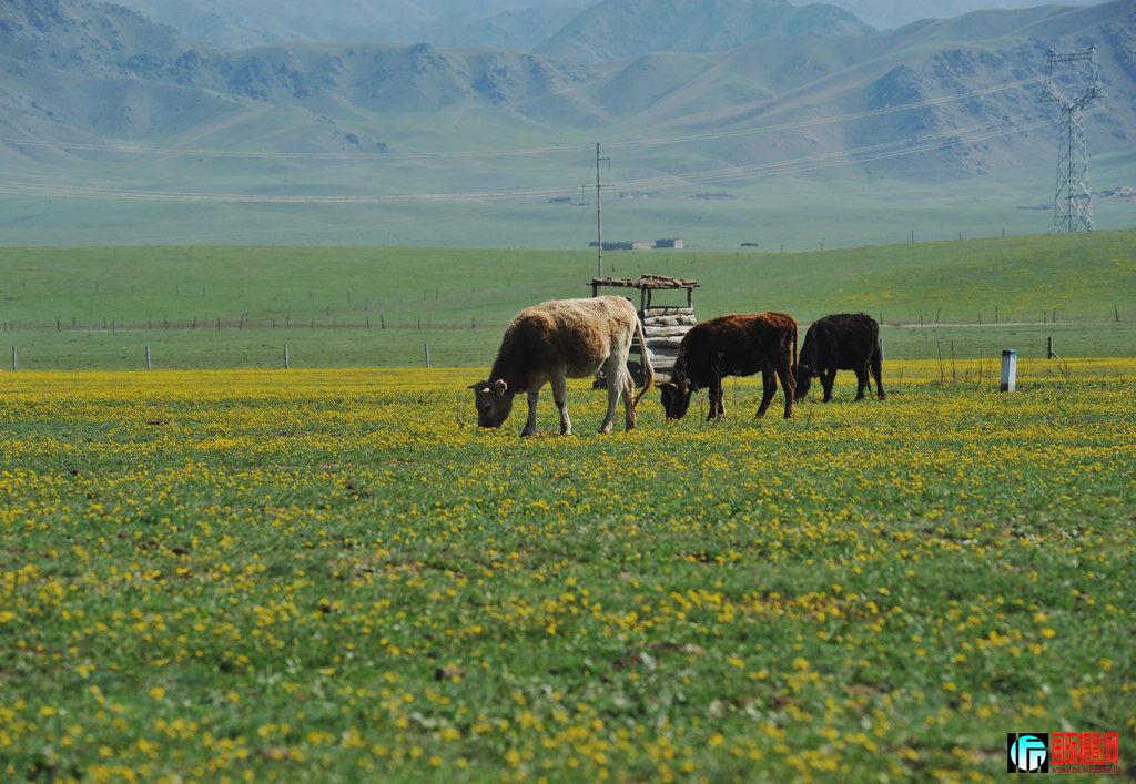 ���� DSC_1640.JPG