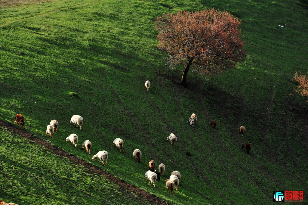 ���� DSC_1608.JPG