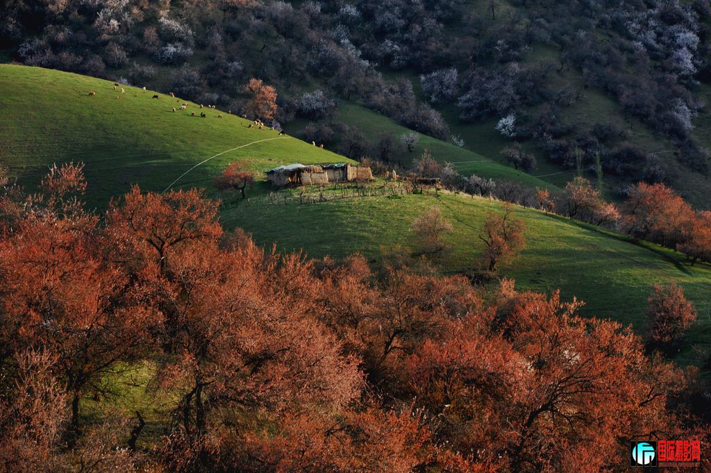 ���� DSC_1563.JPG