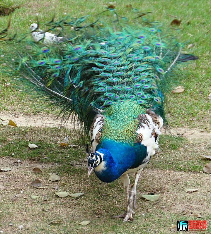 DSC_0895.jpg