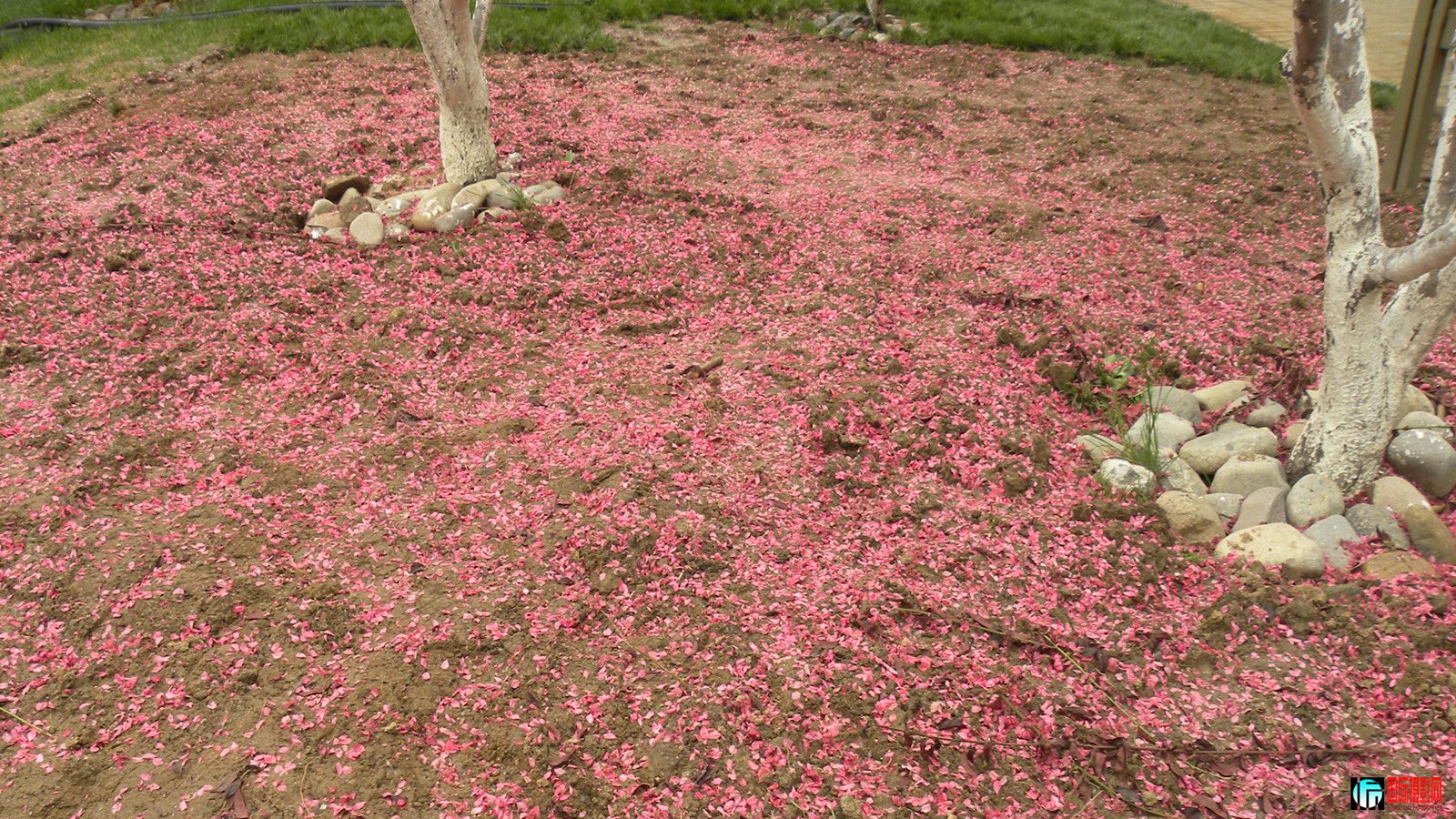 DSCN1203_.jpg