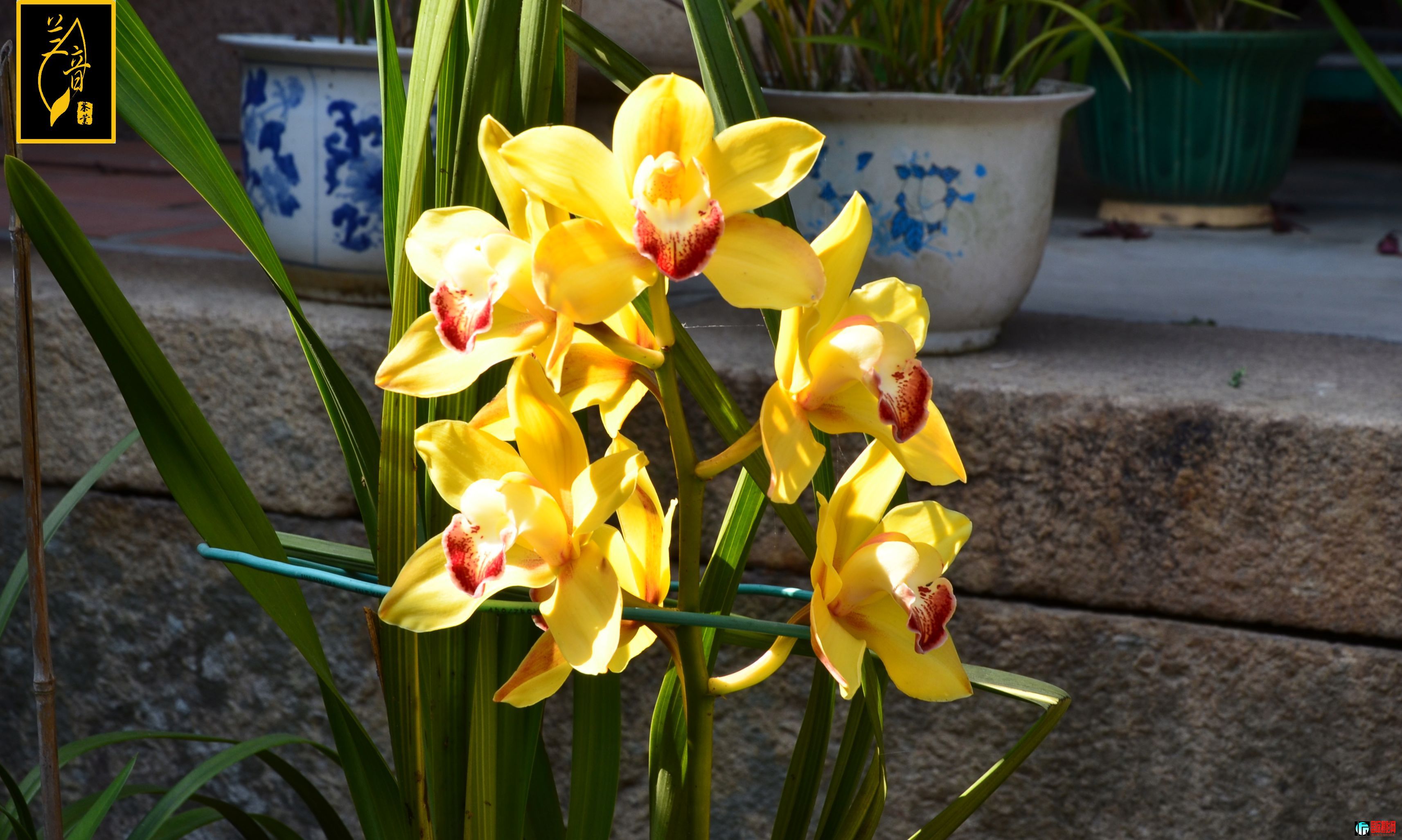 DSC_0649.jpg