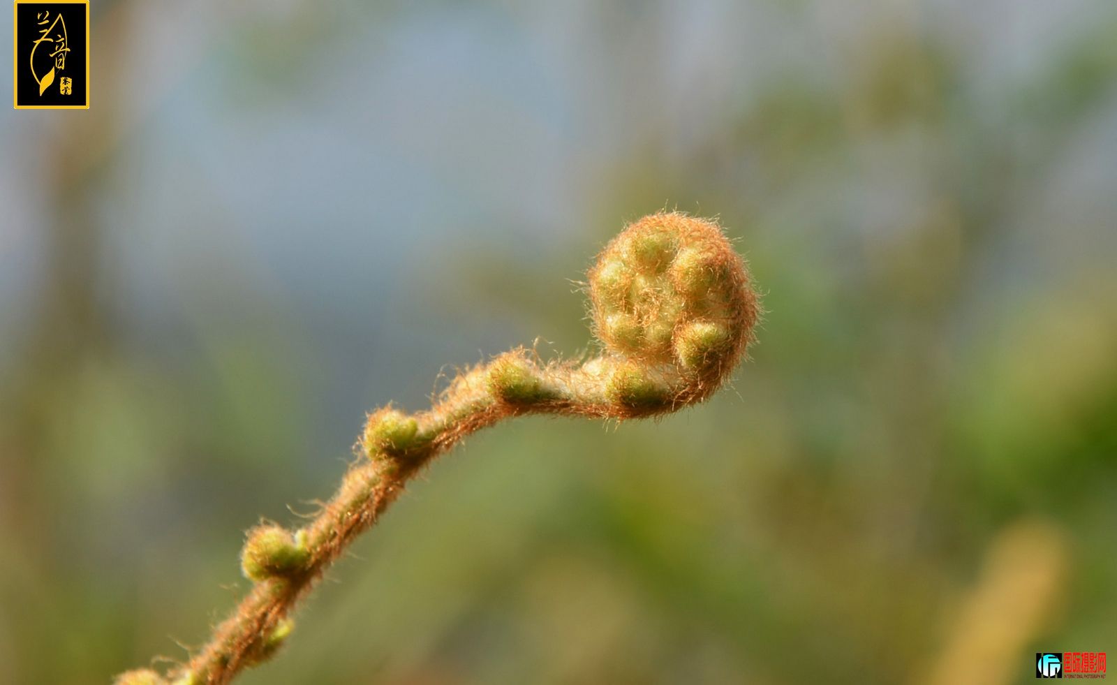 DSC_3359.jpg