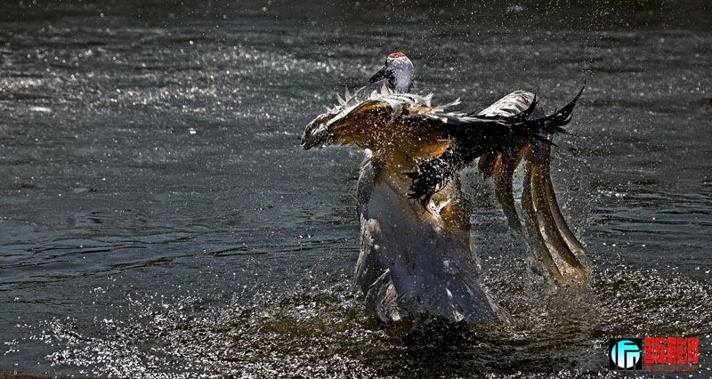 _MG_4933.jpg