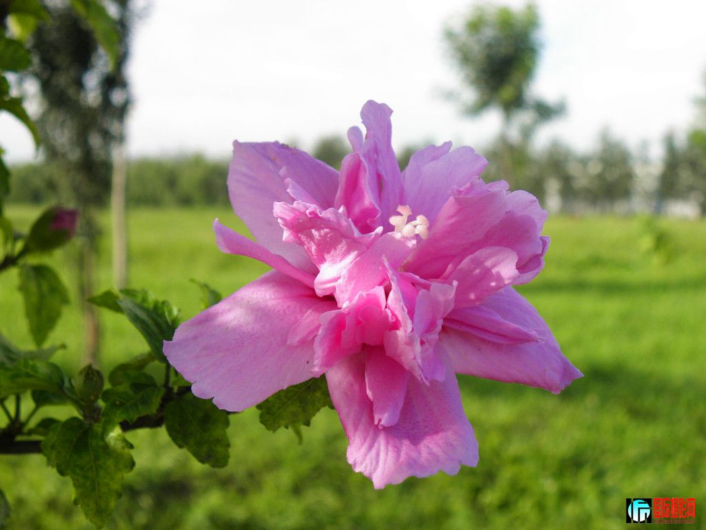 DSCN5529_.jpg