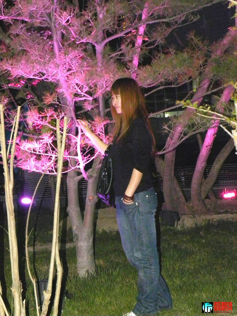 DSCN2412_.jpg